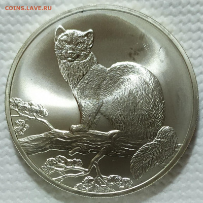 3 рубля соболь 1995 год. - IMG_20240217_224802