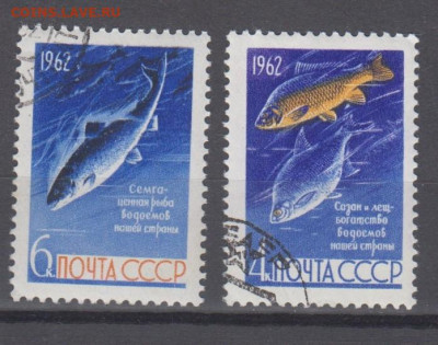 СССР 1962 рыбы 2м до 23 02 - 7