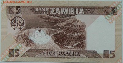 Замбия 5 квача 1980 г.  до 22.02.24 - DSCN3118.JPG