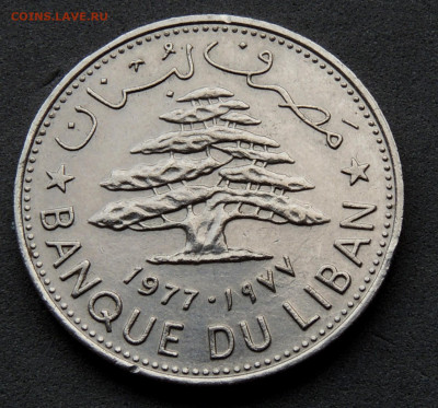 Ливан 1 ливр 1977 до 24.02.2024 - Ливан 1 ливр 1977 .JPG
