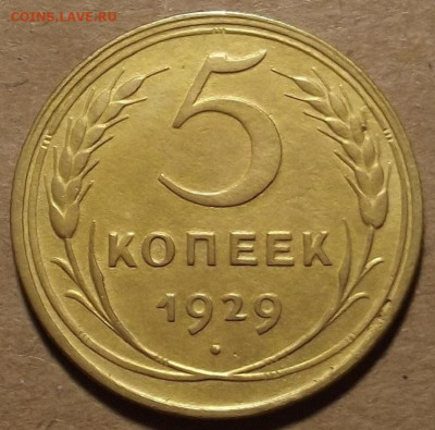 5 копеек 1929 до 21 февраля в 22.00 - red32588911.JPG