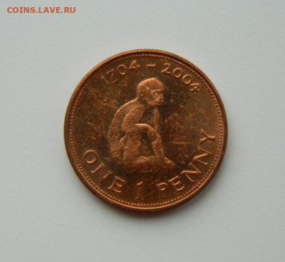 Гибралтар 1 пенни 2004 г. (Фауна) Юбилейная  до 26.02.24 - DSCN3586.JPG