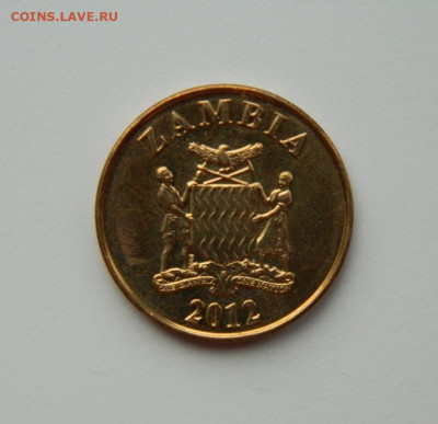 Замбия 50 нгве 2012 г. (Фауна) до 26.02.24 - DSCN3654.JPG