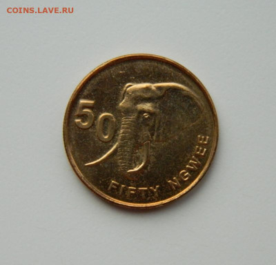 Замбия 50 нгве 2012 г. (Фауна) до 26.02.24 - DSCN3655.JPG