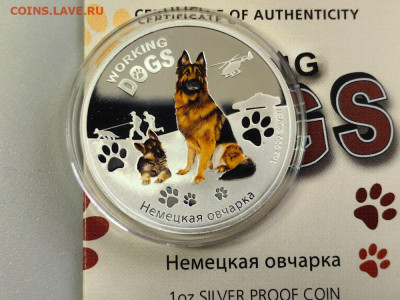 1дол 2011 Тувалу - Немецкая овчарка, Ag999, до 26.02 - ЯЯ Собаки Овчарка-2