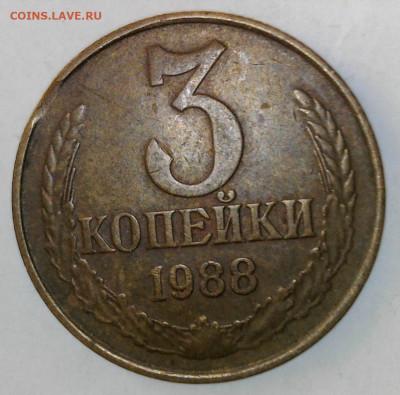 Выкусы на оценку. - WIN_20240220_13_51_01_Pro