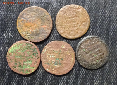 3 полушки 1718 год и ??, 5 полушек 1738 1736 ?? ок 23 феврал - DSC03302.JPG