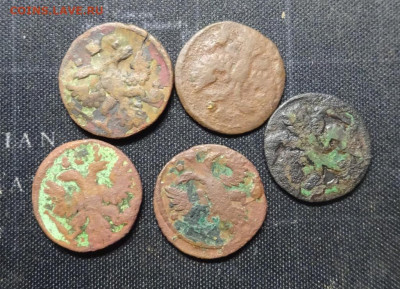 3 полушки 1718 год и ??, 5 полушек 1738 1736 ?? ок 23 феврал - DSC03305.JPG