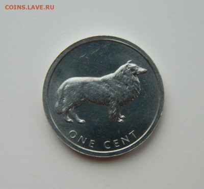 Острова Кука 1 цент 2003 г. (Колли) до 26.02.24 - DSCN3604.JPG
