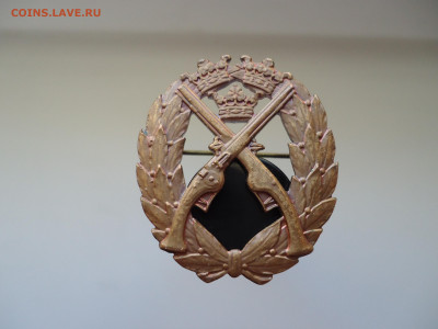 Знак За отличную стрельбу №76175  25.02.24  22-00  МСК - 1.JPG
