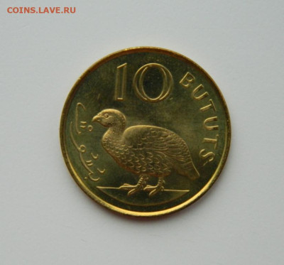 Гамбия 10 бутут 1998 г. (Фауна) до 27.02.24 - DSCN3852.JPG