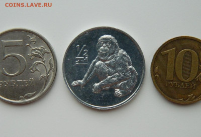 2 чон 2002 г.(Юбилейная)Орангутан до 27.02. - DSCN3221.JPG