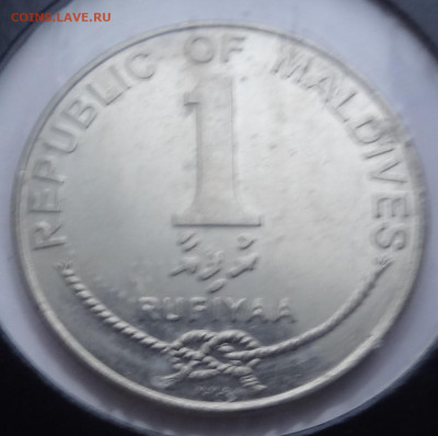 1 руфия Мальдивы 2007г. до 27.02. в 22:00мск. - DSC01681.JPG