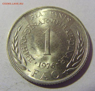 1 динар 1976 ФАО Югославия №1 01.03.2024 22:00 МСК - CIMG0310.JPG