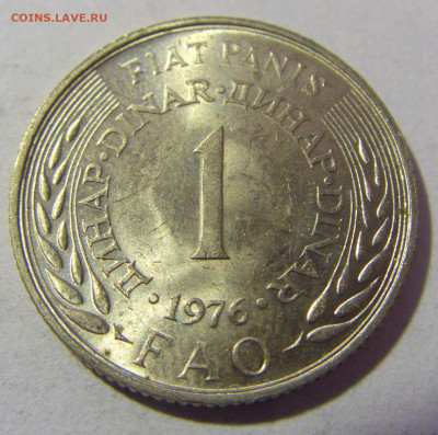 1 динар 1976 ФАО Югославия №2 01.03.2024 22:00 МСК - CIMG0314.JPG