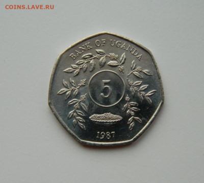 Уганда 5 шиллингов 1987 г. до 29.02.24 - DSCN3897.JPG