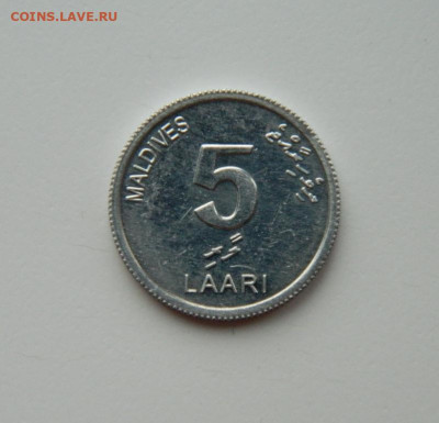 Мальдивские острова 5 лари 2012 г. (Фауна) до 29.02.24 - DSCN3832.JPG