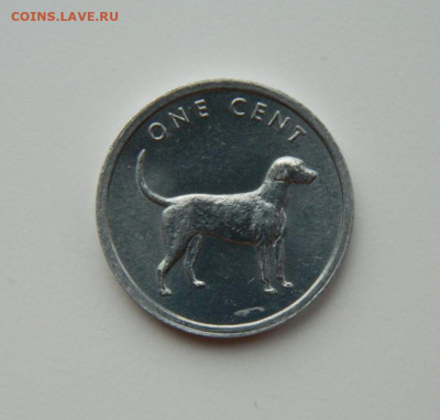 Острова Кука 1 цент 2003 г. (Гончая) до 29.02.24 - DSCN3612.JPG