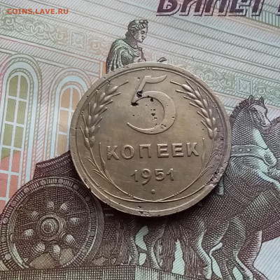 5 копеек 1951. До 02.03.24 в 22.00 - 20240226_121828