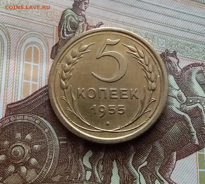 5 копеек 1955. До 02.03.24 в 22.00 - 20240226_122533