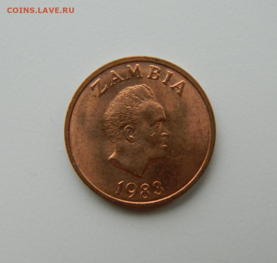 Замбия 1 нгве 1983 г. (Фауна) до 29.02.24 - DSCN3996.JPG