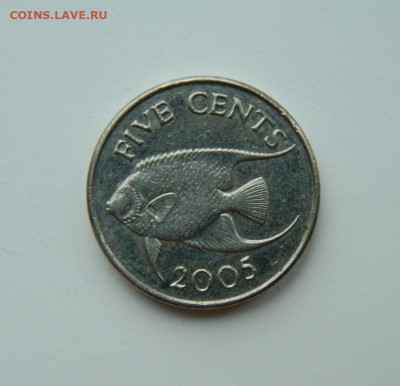 Бермудские острова 5 центов 2005 г. (Фауна)  до 29.02.24 - DSCN4037.JPG
