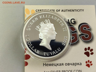 1дол 2011 Тувалу - Немецкая овчарка, Ag999, до 04.03 - ЯЯ Собаки Овчарка-3