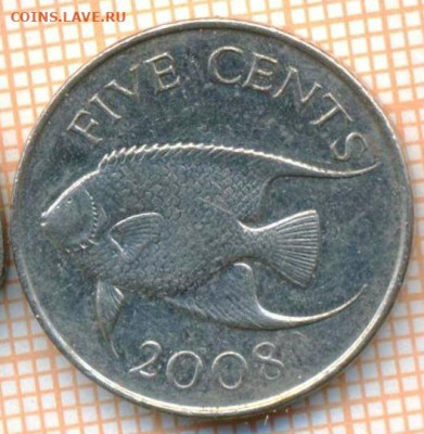 Бермуды 5 центов 2008 г., до 04.03.2024 г. в 22.00 по Москве - Бермуды 5 центов 2008 226