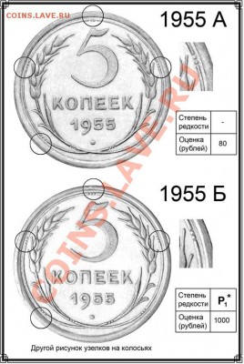 5 копеек 1955 - 5 копеек 1955
