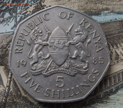 Кения 5 шиллингов 1985 до 6.03.2024 - Кения 5 шиллингов.JPG