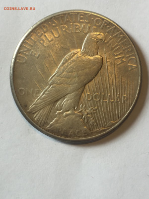 1 Доллар США 1923, Мирный Доллар, до 06.03.2024 - A0538109-FED3-4BE5-98A6-74EDFF211941