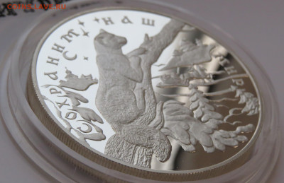 25 рублей 1997 г. Соболь. Сохраним наш Мир. Лмд. Ag. 155,5 г - IMG_7443.JPG