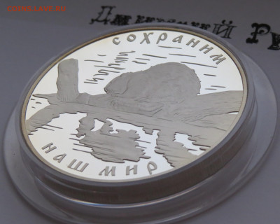 25 рублей 2008 г. Речной бобр. Сохраним Наш Мир. Ag 925 - IMG_7460.JPG