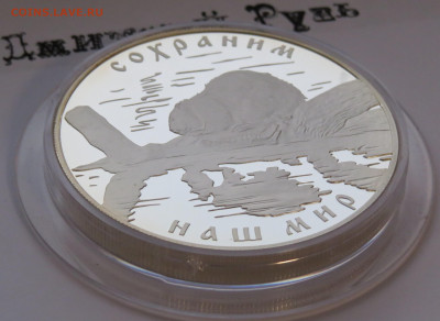 25 рублей 2008 г. Речной бобр. Сохраним Наш Мир. Ag 925 - IMG_7459.JPG