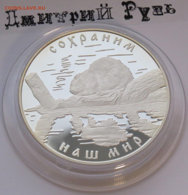 25 рублей 2008 г. Речной бобр. Сохраним Наш Мир. Ag 925 - IMG_7457.JPG