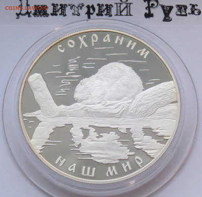25 рублей 2008 г. Речной бобр. Сохраним Наш Мир. Ag 925 - IMG_7456.JPG