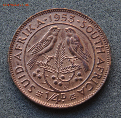 ЮАР ¼ пенни 1953 до 6.03.2024 - ЮАР ¼ пенни.JPG