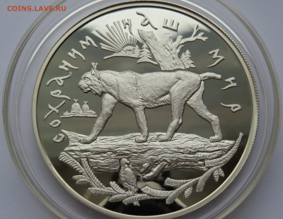 25 рублей 1995 год. Рысь. Ммд. Сохраним наш мир. Ag 900 пр. - IMG_7491.JPG
