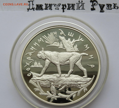 25 рублей 1995 год. Рысь. Ммд. Сохраним наш мир. Ag 900 пр. - IMG_7486.JPG