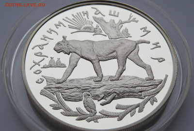 25 рублей 1995 год. Рысь. Ммд. Сохраним наш мир. Ag 900 пр. - IMG_7490.JPG