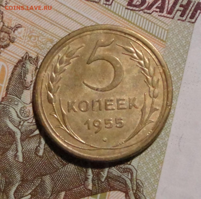 5 коп 1955г - DSC00800.JPG