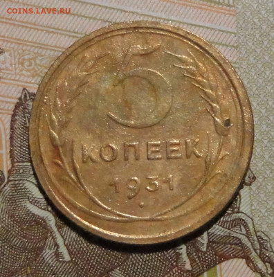 5 коп 31г - DSC00810.JPG