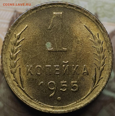 1 копейка 1955 (с блеском). До 6.03.24 в 22.00 МСК - 20240303_000237