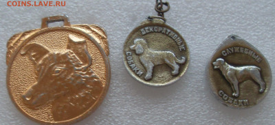 шт - SDC17519.JPG