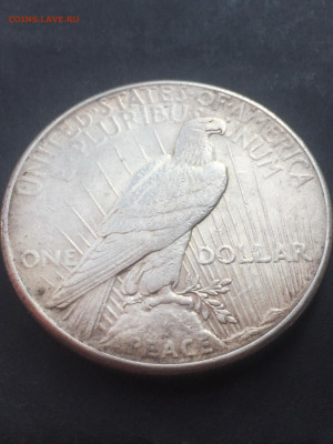 1 Доллар США 1923, Мирный Доллар, до 06.03.2024 - 2512E927-5F6C-4383-AA88-2EA91FC93B21