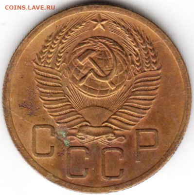 24 г. в 23.00 - 011