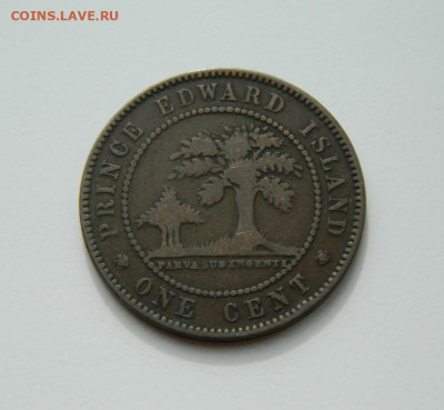 Остров принца Эдуарда 1 цент 1871 г. до 07.03.24 - DSCN4216.JPG