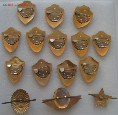 шт - SDC17531.JPG