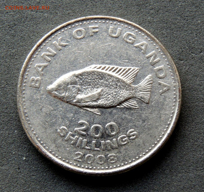 Уганда 200 шиллингов 2008 магн. до 10.03.2024 - Уганда 200 шиллингов 2008.JPG