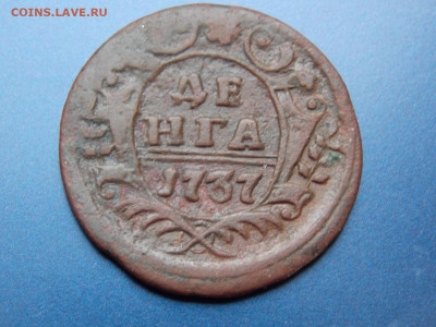 Денга 1737 года - DSCN0520.JPG